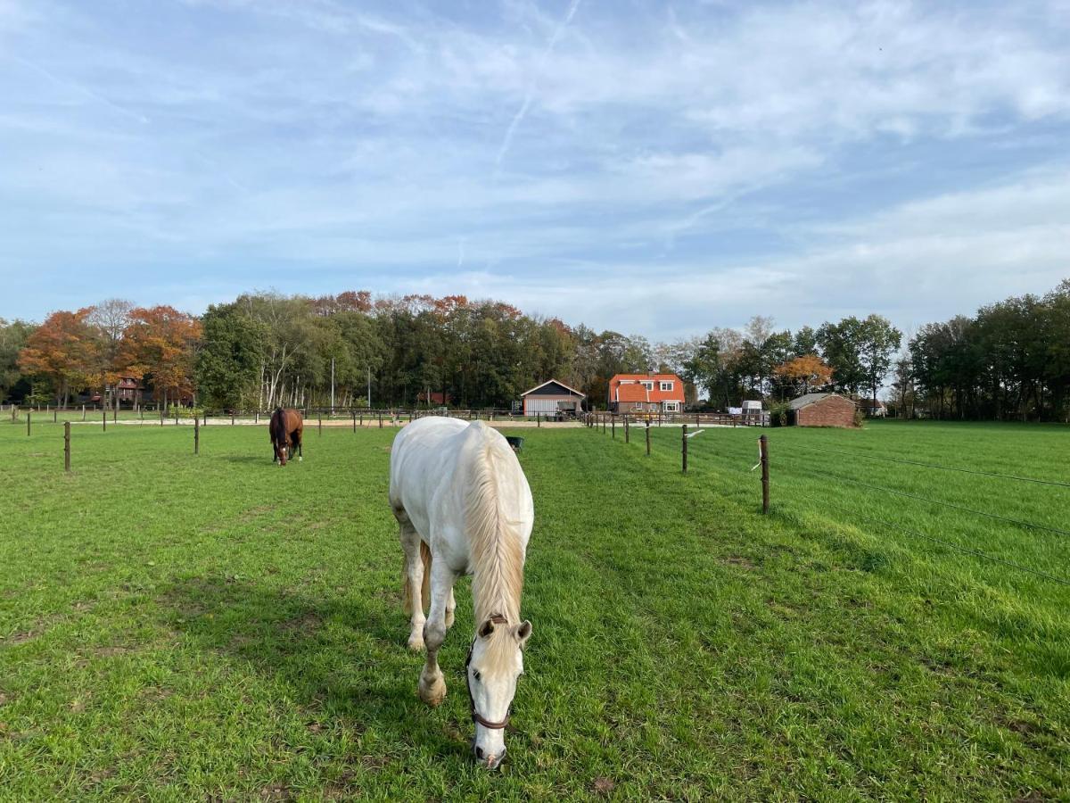 Bed & Breakfast Hoeve Happiness - Ontbijt Inbegrepen - Wellness Aanwezig Фортайзен Екстериор снимка