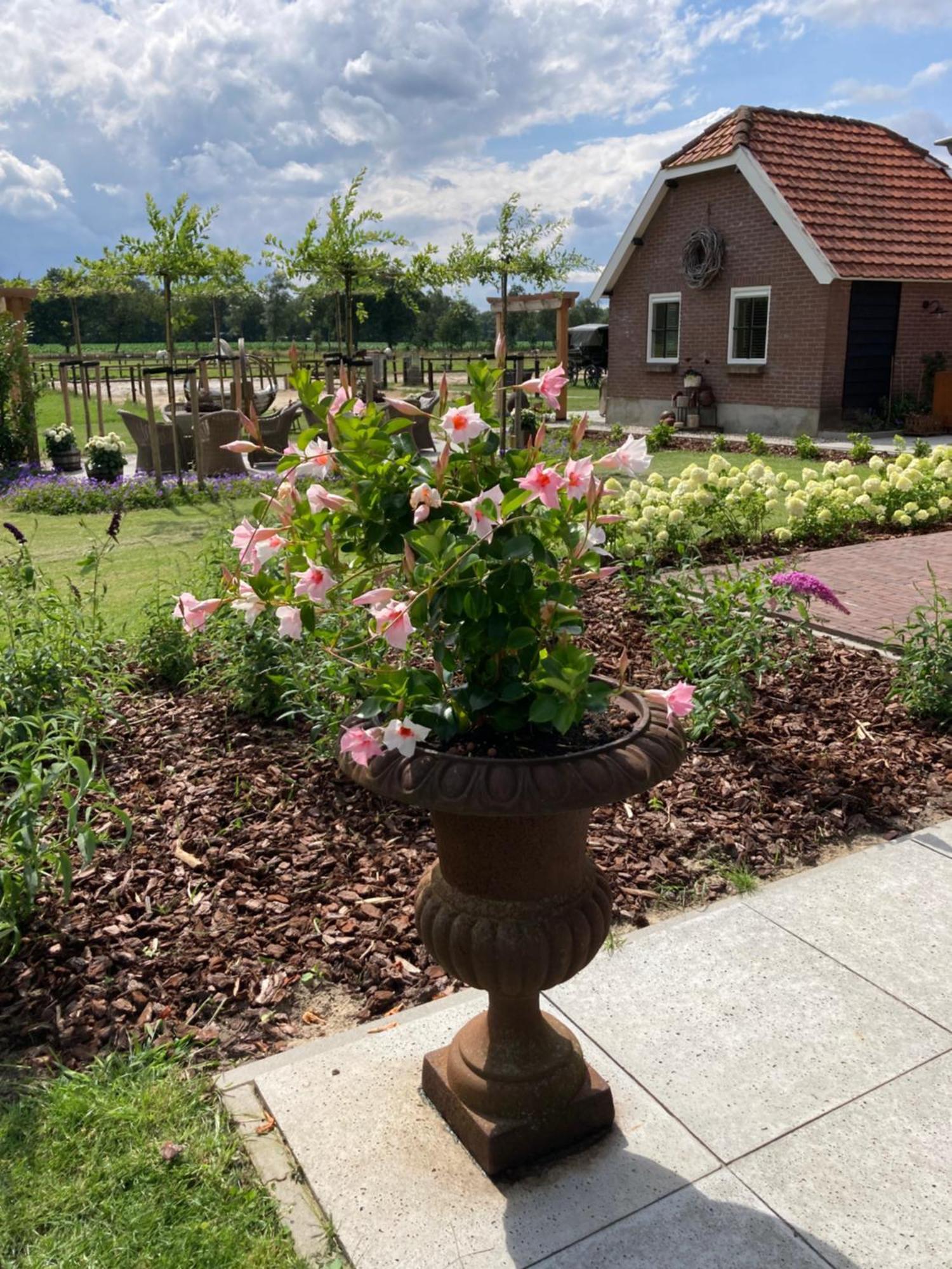 Bed & Breakfast Hoeve Happiness - Ontbijt Inbegrepen - Wellness Aanwezig Фортайзен Екстериор снимка