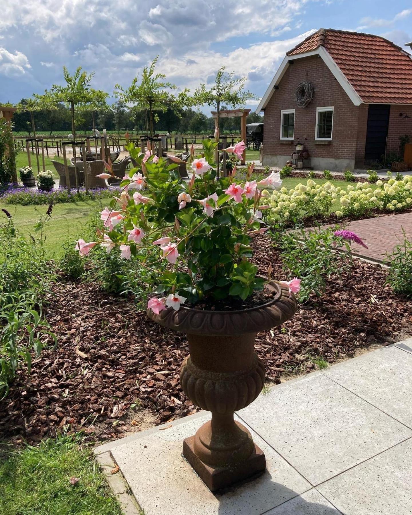 Bed & Breakfast Hoeve Happiness - Ontbijt Inbegrepen - Wellness Aanwezig Фортайзен Екстериор снимка
