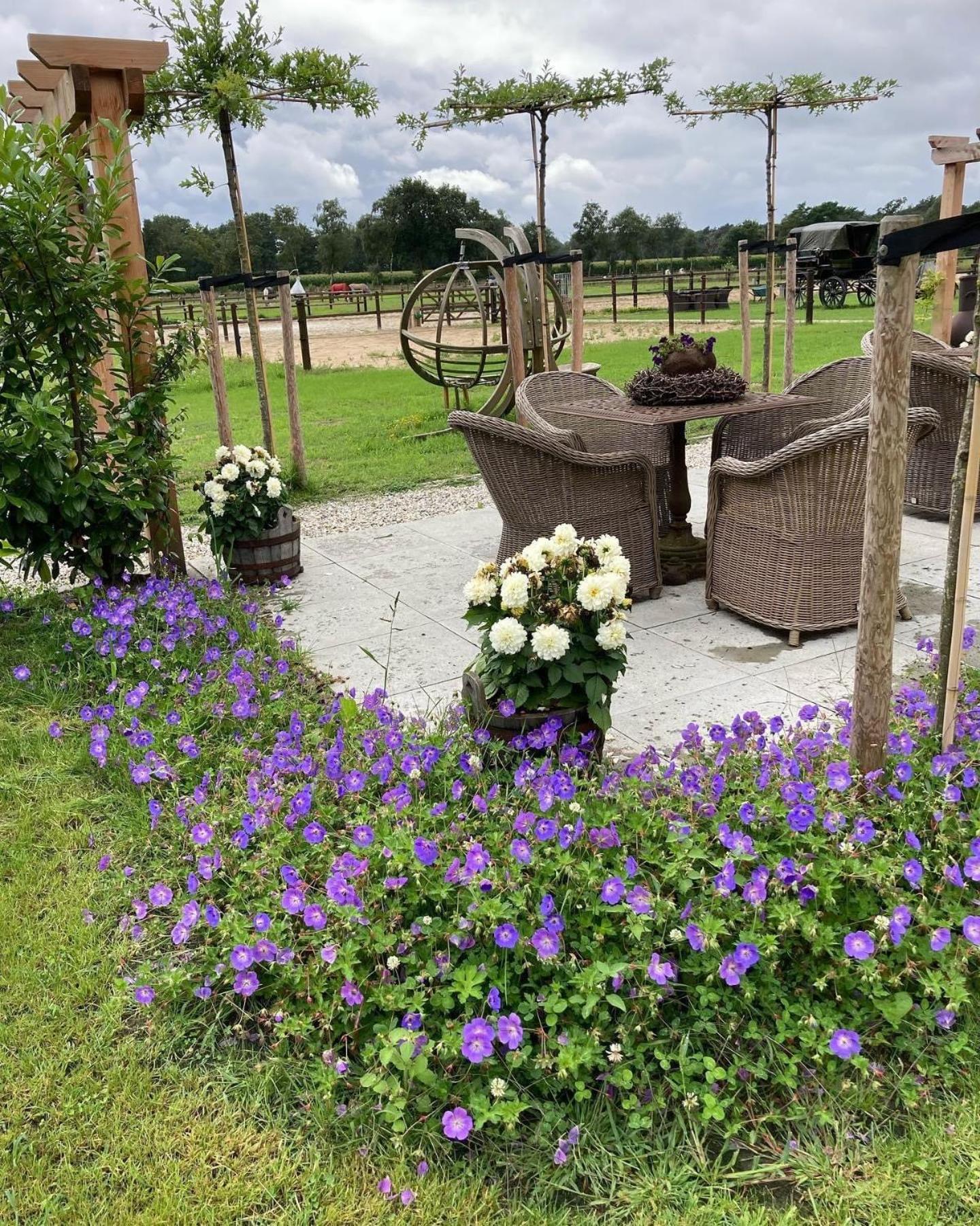 Bed & Breakfast Hoeve Happiness - Ontbijt Inbegrepen - Wellness Aanwezig Фортайзен Екстериор снимка