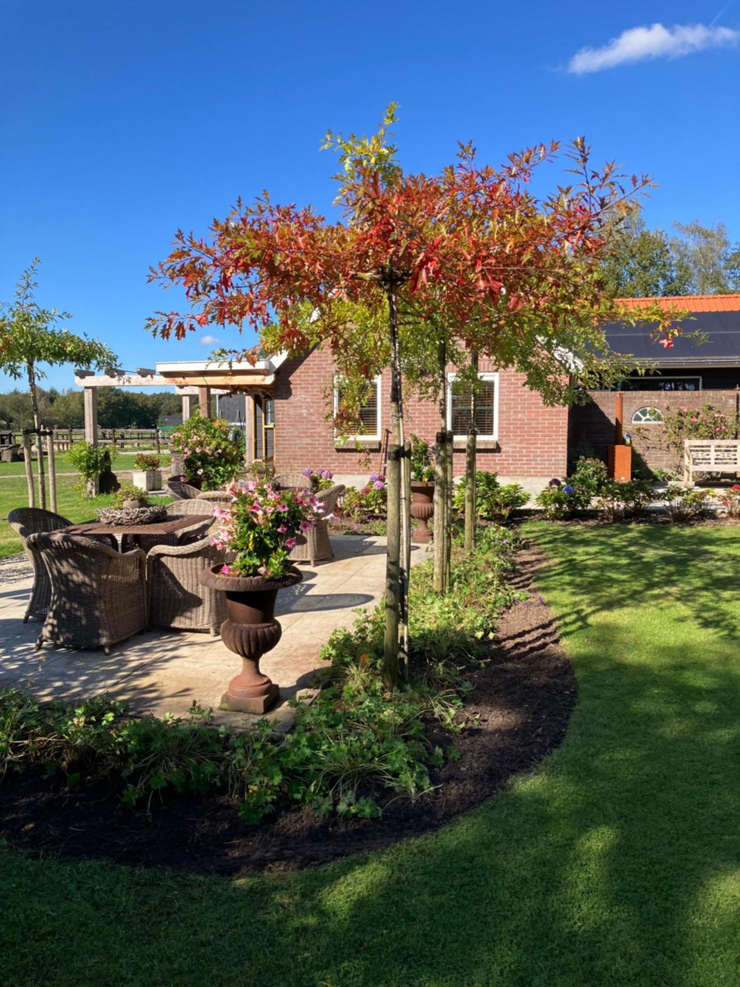 Bed & Breakfast Hoeve Happiness - Ontbijt Inbegrepen - Wellness Aanwezig Фортайзен Екстериор снимка