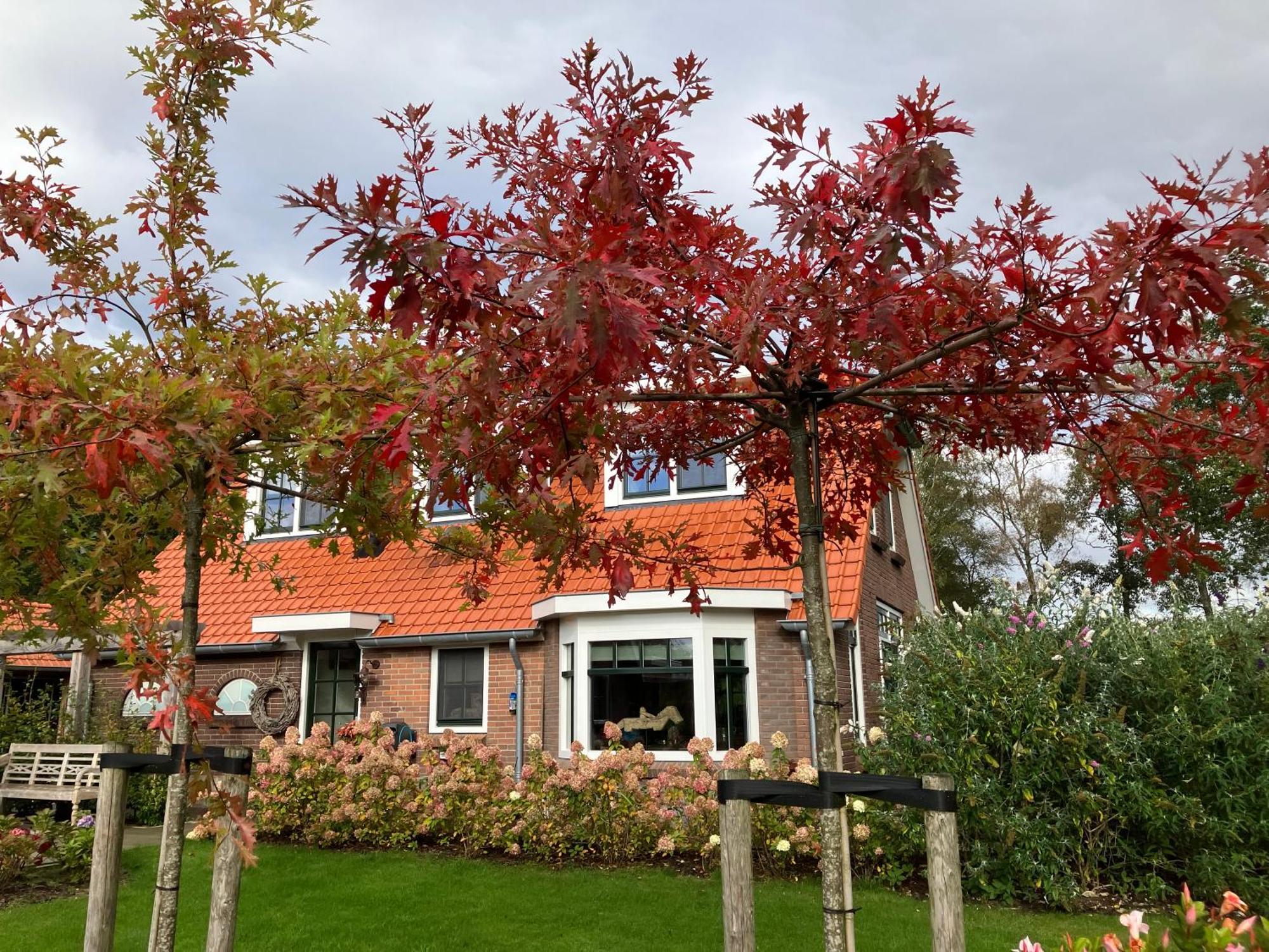 Bed & Breakfast Hoeve Happiness - Ontbijt Inbegrepen - Wellness Aanwezig Фортайзен Екстериор снимка